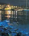 'Heck of a light show' as glittering algae mass off coast of Tasmania