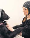 Like-minded? Dogs and owners take part in brainwave study