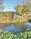 Back for good Reviving lost zombie ponds is an easy win for farmers