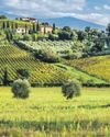 Tuscany, on a budget? Italian region among cheapest holiday destinations