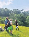 Trust aims to create rare Celtic rainforest in Devon