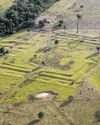 Lost cities of the Amazon Ancient garden metropolises uncovered by 3D mapping