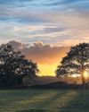 Wildlife watchdog in England failing to save vital sites, activists say