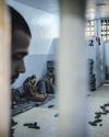 Syria Prisons full of IS suspects under threat as militant group remobilises