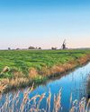 Wrong Norfolk Mislabelling led to levy on remote island14
