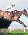 Celebre d'Allen dies days after collapsing at Grand National Celebre d'Allen dies days after collapsing at Grand National52