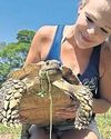 Owners reunited with 'tornado tortoise' after deadly storms Owners reunited with 'tornado tortoise' after deadly storms