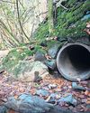 Water pollution cases in 2024 highest in a decade - report4