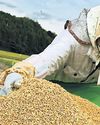 Japan buys Korean rice for first time in 25 years amid shortage Japan buys Korean rice for first time in 25 years amid shortage43