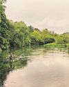 Beautiful as a rainforest' Brexit rules put chalk streams under threat Beautiful as a rainforest' Brexit rules put chalk streams under threat47