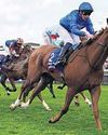 Desert Flower seals Godolphin hat-trick with Guineas victory Desert Flower seals Godolphin hat-trick with Guineas victory52