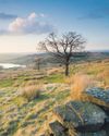 Brontë Country to Become a Huge National Nature Reserve30
