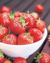 Berry big: sunny days and cool nights create huge strawberries7