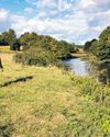 Phosphate crisis putting rivers at risk, say anglers20