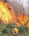 'Red alert': wildfires cause record forest losses in Bolivia54