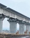 Poorest nations facing 'tidal wave' of debt to China, report warns