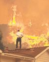 World now faces 'economic denial' in climate fight, warns Cop30 chief4