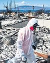 Sexual exploitation soared after Hawaii fire, research finds43