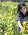 'Burgundy eat your heart out': Devon vineyard is toast of wine world for both best red and white