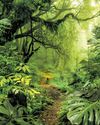 Nowhere to hide Alarm as mass insect die-offs hit world's most protected areas Nowhere to hide Alarm as mass insect die-offs hit world's most protected areas