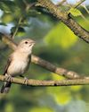 Natural England Ministers 'wrong to see nature as obstacle to new housing' Natural England Ministers 'wrong to see nature as obstacle to new housing'