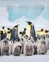 It's everyone's concern' Plan for Antarctica to get legal 'personhood' gains traction It's everyone's concern' Plan for Antarctica to get legal 'personhood' gains traction