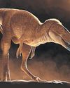 Fossils found in Mongolia 'were closest ancestors of tyrannosaurs'20