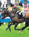 'I just want to be the best jockey - I don't compare myself to female riders'48