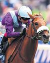 See The Fire ready to turn up the heat on Ascot field52