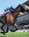 Trawlerman's romp to Gold Cup provokes memories of the greats49