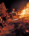 Climate emergency Policies needed to deal with crisis profiteering41