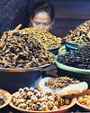 'Yuck factor' still barrier in push to swap insects for meat in diets25