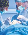 NHS to use AI to spot signs of potential safety scandals4