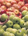 Food prices pushed up as heat affects harvests41