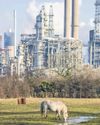 Owners Took Millions Out of Refinery Before It Went Bust39