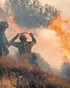 Wildfire forces 1,500 people to leave Crete as heat sears Europe48