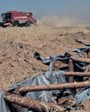 They Want to Destroy Us: Country's Family Farms Face a Battle for Survival36