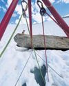 Tiny pet dog leads rescuers to hiker trapped in Swiss glacier39