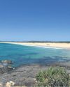 One in a million': Teenage surfer found on remote island off coast of Australia13