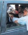 Nearly 800 killed near Gaza food points since end of May, UN says34