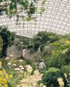 How green is the valley Welsh garden becomes thriving success story25