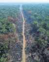 Brazil Passes 'Devastation Bill' That Erodes Environmental Protections The Guardian