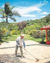 The mining 'Goliath' Colombian farmers in a battle to save their land The Guardian