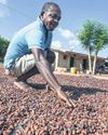 Poorest at risk' as global heating drives up food prices The Guardian