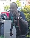 Man jailed for stabbing neighbour and shooting officer with crossbow23