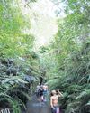 It's like Indiana Jones' New Zealand's springs prove hotspot for tourists41