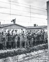 Cosmetics firm 'supplied cream used in experiments at Dachau' The Guardian