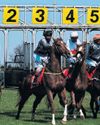 Racing in Kenya New generation of jockeys and trainers dispels perceptions of colonial-era sport The Guardian