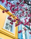Homes for sale up 6% on same time last year, says Zoopla33