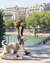 Is Paris going to the dogs? Mayoral rivals bid for the pet vote3